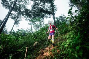 BIB: 
                            <button type="button" onclick="openModal(26202300)" class="btn btn-primary btn-sm float-right btn-popup" data-toggle="modal" data-target=".modal-high-quality">
                        <i class="fas fa-shopping-cart"></i> Add to Cart
                    </button>
                                            <button type="button" onclick="isThisMe(26202300, true)" class="btn btn-success btn-sm float-right btn-popup btn-isme hidden" data-toggle="tooltip" data-placement="bottom" title="นี่คือรูปของคุณใช่ไหม คลิกที่นี่เพื่อเอาเข้าอัลบั้ม">
                        <i class="fas fa-plus"></i> Add to album
                    </button>
                    <button type="button" onclick="isThisMe(26202300, false)" class="btn btn-warning btn-sm float-right btn-popup btn-isnotme hidden">
                        <i class="fas fa-ban"></i> Remove from album
                    </button>